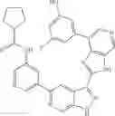 Fig. 1306 - 3-(3H-imidazo[4,5-C]pyridin-2-yl)-1H-pyrazolo[3,4-C]pyridine and therapeutic uses thereof
