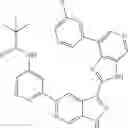 Fig. 15 - 3-(3H-imidazo[4,5-C]pyridin-2-yl)-1H-pyrazolo[3,4-C]pyridine and therapeutic uses thereof