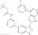 Fig. 23 - 3-(3H-imidazo[4,5-C]pyridin-2-yl)-1H-pyrazolo[3,4-C]pyridine and therapeutic uses thereof