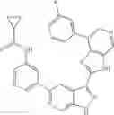 Fig. 26 - 3-(3H-imidazo[4,5-C]pyridin-2-yl)-1H-pyrazolo[3,4-C]pyridine and therapeutic uses thereof