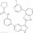 Fig. 28 - 3-(3H-imidazo[4,5-C]pyridin-2-yl)-1H-pyrazolo[3,4-C]pyridine and therapeutic uses thereof