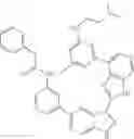 Fig. 433 - 3-(3H-imidazo[4,5-C]pyridin-2-yl)-1H-pyrazolo[3,4-C]pyridine and therapeutic uses thereof
