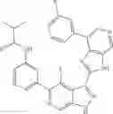 Fig. 458 - 3-(3H-imidazo[4,5-C]pyridin-2-yl)-1H-pyrazolo[3,4-C]pyridine and therapeutic uses thereof