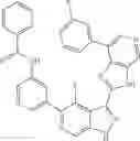 Fig. 460 - 3-(3H-imidazo[4,5-C]pyridin-2-yl)-1H-pyrazolo[3,4-C]pyridine and therapeutic uses thereof