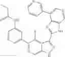 Fig. 528 - 3-(3H-imidazo[4,5-C]pyridin-2-yl)-1H-pyrazolo[3,4-C]pyridine and therapeutic uses thereof