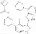 Fig. 547 - 3-(3H-imidazo[4,5-C]pyridin-2-yl)-1H-pyrazolo[3,4-C]pyridine and therapeutic uses thereof