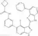 Fig. 573 - 3-(3H-imidazo[4,5-C]pyridin-2-yl)-1H-pyrazolo[3,4-C]pyridine and therapeutic uses thereof