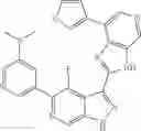 Fig. 716 - 3-(3H-imidazo[4,5-C]pyridin-2-yl)-1H-pyrazolo[3,4-C]pyridine and therapeutic uses thereof