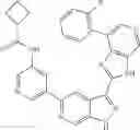 Fig. 79 - 3-(3H-imidazo[4,5-C]pyridin-2-yl)-1H-pyrazolo[3,4-C]pyridine and therapeutic uses thereof