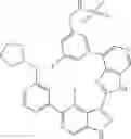 Fig. 853 - 3-(3H-imidazo[4,5-C]pyridin-2-yl)-1H-pyrazolo[3,4-C]pyridine and therapeutic uses thereof