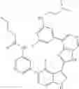 Fig. 883 - 3-(3H-imidazo[4,5-C]pyridin-2-yl)-1H-pyrazolo[3,4-C]pyridine and therapeutic uses thereof