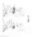 Fig. 23 - COMPOSITIONS AND METHODS FOR TREATING PATIENTS WITH RTK MUTANT CELLS