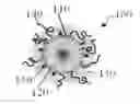 Fig. 01 - MULTIFUNCTIONAL MICELLAR NANOPARTICLE-BASED DRUG AND TARGETING AGENT SYSTEM