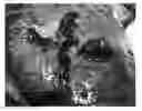 Fig. 01 - Hemostatic composition comprising an anion exchanger and a calcium salt