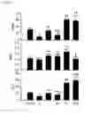 Fig. 06 - Compositions and methods for treating and preventing venom related poisoning