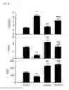 Fig. 07 - Compositions and methods for treating and preventing venom related poisoning
