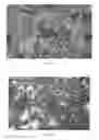 Fig. 20 - Antiviral methods and compositions comprising probiotic bacterial molecules