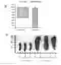 Fig. 03 - USES OF HYPOXIA-INDUCIBLE FACTOR INHIBITORS