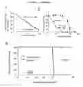 Fig. 07 - USES OF HYPOXIA-INDUCIBLE FACTOR INHIBITORS