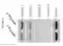 Fig. 23 - USES OF HYPOXIA-INDUCIBLE FACTOR INHIBITORS