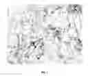 Fig. 02 - Immune system modulators and compositions