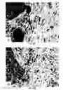 Fig. 71 - Immune system modulators and compositions