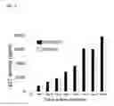 Fig. 09 - Involucrin-driven retroviral expression cassettes encoding human immunodeficiency virus envelope glycoproteins