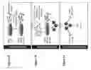 Fig. 02 - Methods of making and using live attenuated viruses