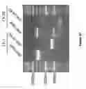 Fig. 04 - Methods of making and using live attenuated viruses