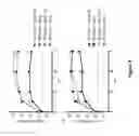 Fig. 11 - Methods of making and using live attenuated viruses