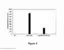 Fig. 07 - HIV pre-immunization and immunotherapy
