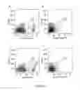 Fig. 04 - COMPOSITIONS FOR MODULATING AN XBP1 PATHWAY IN A KERATINOCYTE AND METHODS OF USE