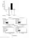 Fig. 09 - COMPOSITIONS FOR MODULATING AN XBP1 PATHWAY IN A KERATINOCYTE AND METHODS OF USE