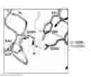 Fig. 01 - Multispecific antigen-binding proteins