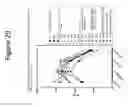 Fig. 30 - Anti-CD3 antibody formulations