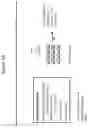 Fig. 31 - Anti-CD3 antibody formulations