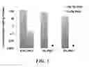 Fig. 04 - Compositions of nucleic acid-containing nanoparticles for in vivo delivery