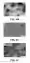 Fig. 08 - Compositions of nucleic acid-containing nanoparticles for in vivo delivery
