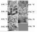 Fig. 10 - Compositions of nucleic acid-containing nanoparticles for in vivo delivery