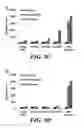 Fig. 13 - Compositions of nucleic acid-containing nanoparticles for in vivo delivery