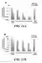 Fig. 15 - Compositions of nucleic acid-containing nanoparticles for in vivo delivery