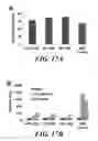Fig. 22 - Compositions of nucleic acid-containing nanoparticles for in vivo delivery