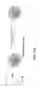 Fig. 24 - Compositions of nucleic acid-containing nanoparticles for in vivo delivery