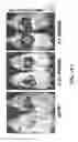 Fig. 26 - Compositions of nucleic acid-containing nanoparticles for in vivo delivery