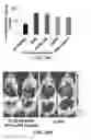 Fig. 28 - Compositions of nucleic acid-containing nanoparticles for in vivo delivery