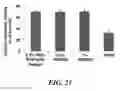 Fig. 29 - Compositions of nucleic acid-containing nanoparticles for in vivo delivery