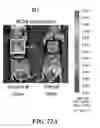 Fig. 30 - Compositions of nucleic acid-containing nanoparticles for in vivo delivery