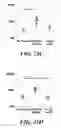 Fig. 38 - Compositions of nucleic acid-containing nanoparticles for in vivo delivery