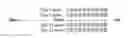 Fig. 02 - Nucleic acid products and methods of administration thereof