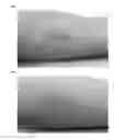 Fig. 05 - Nucleic acid products and methods of administration thereof